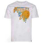 Orange/Blue