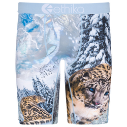 Boys' Grade School - Ethika Graphic Briefs - Blue/Multi