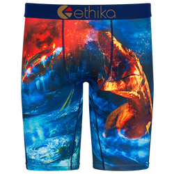 Boys' Grade School - Ethika Graphic Briefs - Blue/Multi