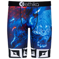 Boys' Grade School - Ethika Graphic Briefs - Black/Blue