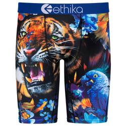 Boys' Grade School - Ethika Graphic Briefs - Blue/Multi