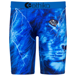 Boys' Grade School - Ethika Graphic Briefs - Black/Blue