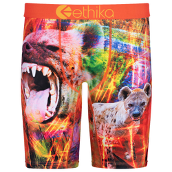 Boys' Grade School - Ethika Graphic Briefs - Red/Yellow