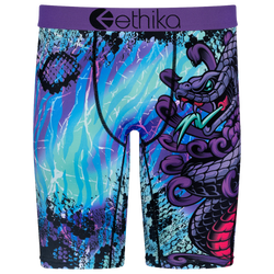 Boys' Grade School - Ethika Graphic Briefs - Blue/Purple