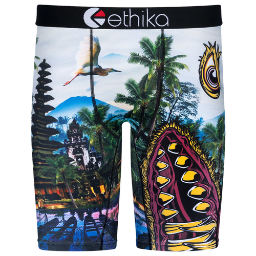

Boys Ethika Ethika Graphic Briefs - Boys' Grade School Green/Blue Size S