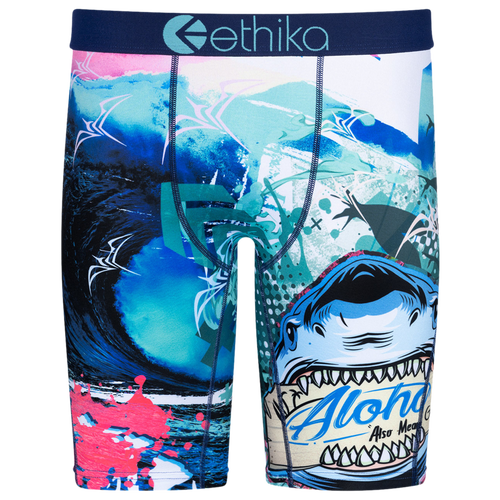 

Boys Ethika Ethika Graphic Briefs - Boys' Grade School Blue/Teal Size M