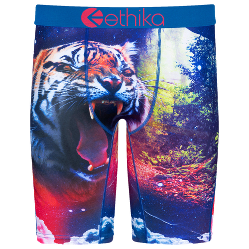 

Boys Ethika Ethika Graphic Briefs - Boys' Grade School Purple/Red Size L
