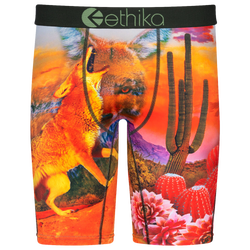 Boys' Grade School - Ethika Graphic Briefs - Orange/Green