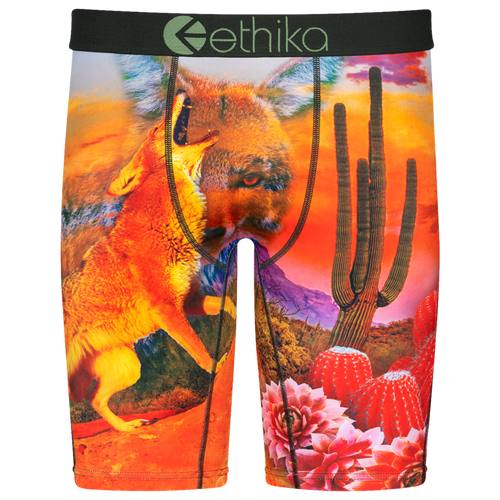 

Boys Ethika Ethika Graphic Briefs - Boys' Grade School Orange/Green Size M