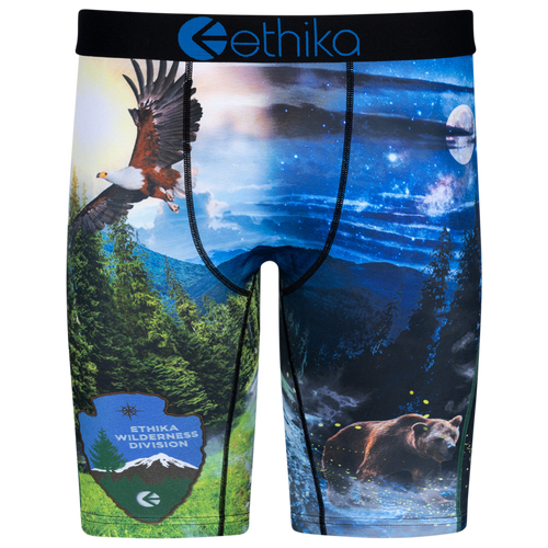 

Boys Ethika Ethika Graphic Briefs - Boys' Grade School Black/Blue Size M