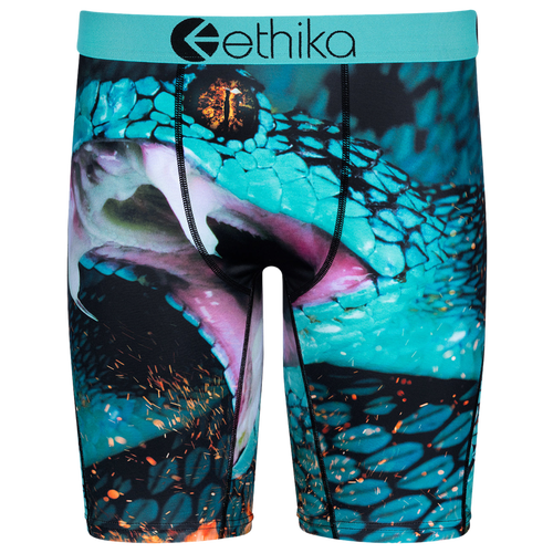 

Boys Ethika Ethika Graphic Briefs - Boys' Grade School Green/Black Size L