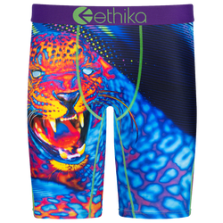 Boys' Grade School - Ethika Graphic Briefs - Blue/Purple