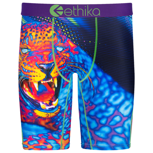 

Boys Ethika Ethika Graphic Briefs - Boys' Grade School Blue/Purple Size M