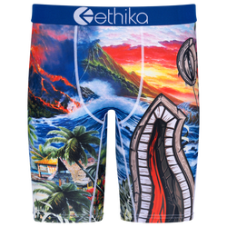 Boys' Grade School - Ethika Graphic Briefs - Blue/Brown
