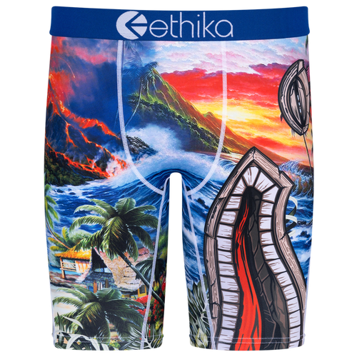 

Boys Ethika Ethika Graphic Briefs - Boys' Grade School Blue/Brown Size S