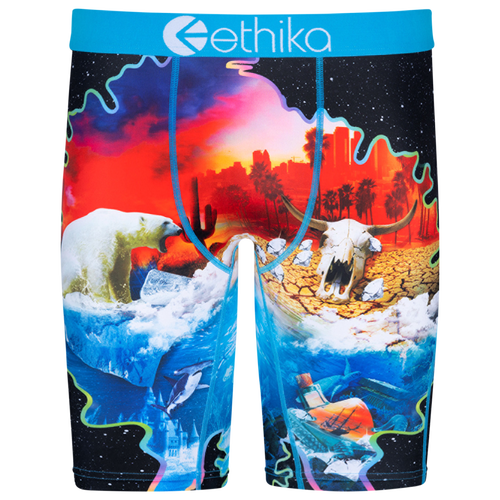 

Boys Ethika Ethika Graphic Briefs - Boys' Grade School Blue/White Size M