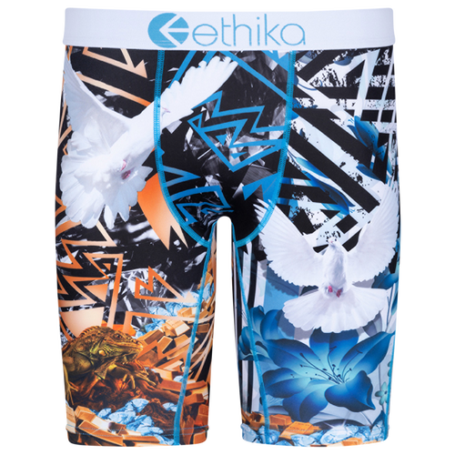 

Boys Ethika Ethika Graphic Briefs - Boys' Grade School White/Blue Size L