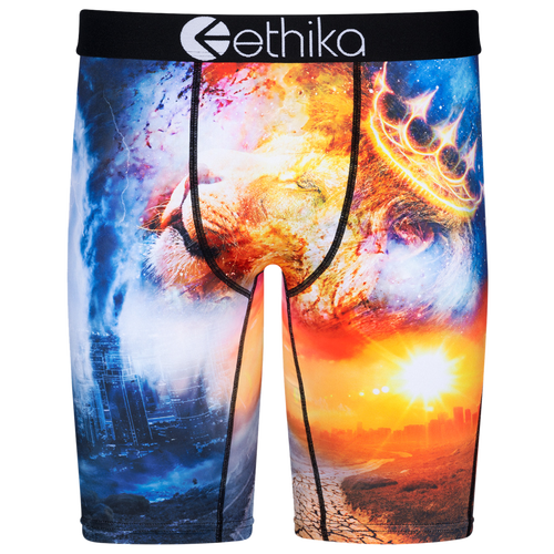 

Boys Ethika Ethika Graphic Briefs - Boys' Grade School Blue/Orange Size M