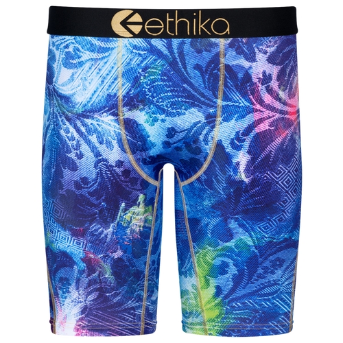 

Boys Ethika Ethika Graphic Briefs - Boys' Grade School Blue/Green Size S