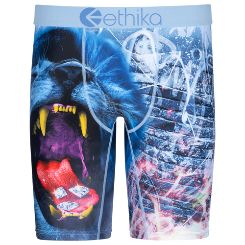 

Boys Ethika Ethika Lion Brix Underwear - Boys' Grade School Blue/Blue Size S