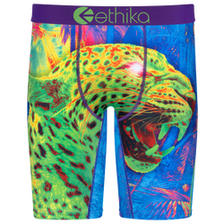 Boys' Grade School - Ethika Jagwa Underwear - Green/Purple