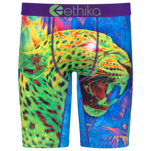 

Boys Ethika Ethika Jagwa Underwear - Boys' Grade School Green/Purple Size L