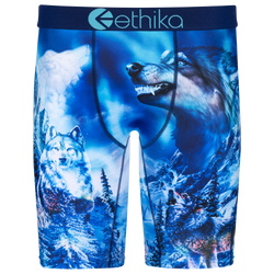 Boys' Grade School - Ethika Blue Fangz Underwear - Blue/Blue