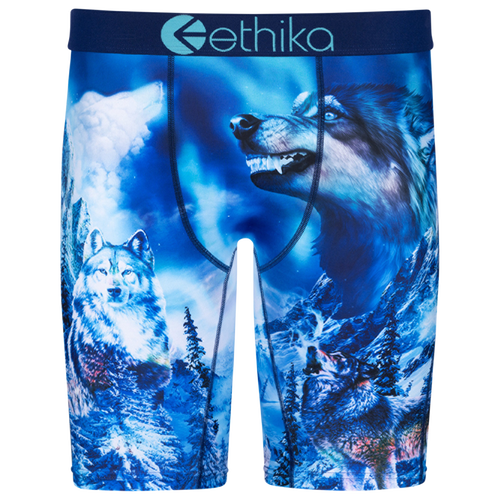 

Boys Ethika Ethika Blue Fangz Underwear - Boys' Grade School Blue/Blue Size L