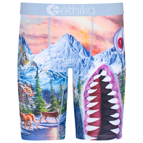 

Boys Ethika Ethika BMR Abdominable Underwear - Boys' Grade School White/Blue Size XL