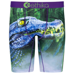 Boys' Grade School - Ethika Later Gator Underwear - Purple/Green