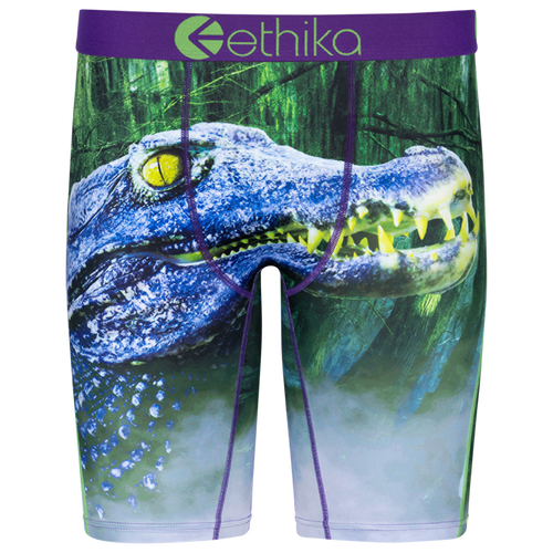 

Boys Ethika Ethika Later Gator Underwear - Boys' Grade School Purple/Green Size L