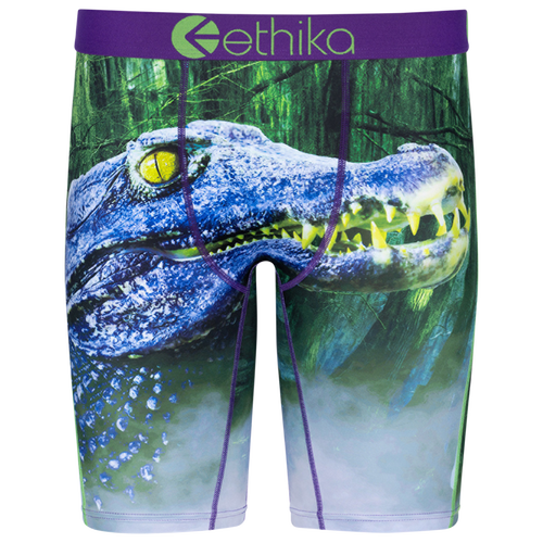 

Boys Ethika Ethika Later Gator Underwear - Boys' Grade School Purple/Green Size S