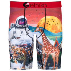 Boys' Grade School - Ethika Astro Zoo Underwear - Red/Multi