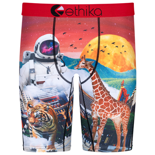 

Boys Ethika Ethika Astro Zoo Underwear - Boys' Grade School Red/Multi Size L