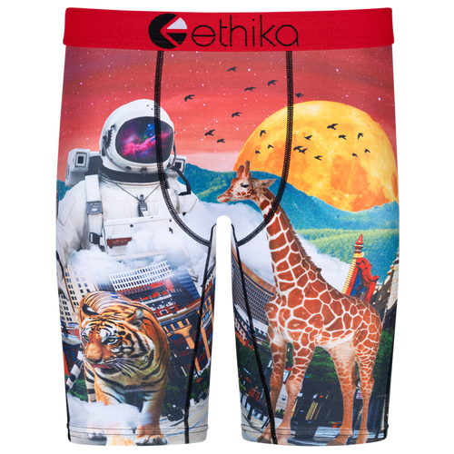 

Boys Ethika Ethika Astro Zoo Underwear - Boys' Grade School Red/Multi Size XL