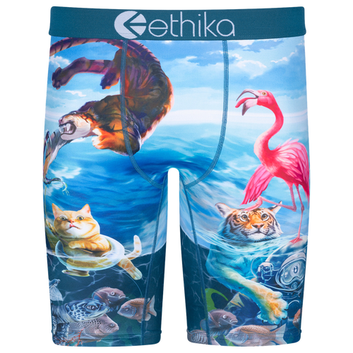 

Boys Ethika Ethika Voyage Underwear - Boys' Grade School Blue/Blue Size M