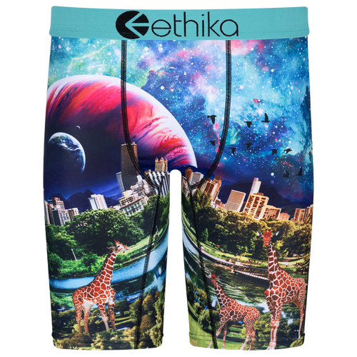 

Boys Ethika Ethika Graphic Briefs - Boys' Grade School Blue/Green Size M