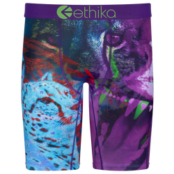 Boys' Grade School - Ethika Graphic Briefs - Blue/Purple