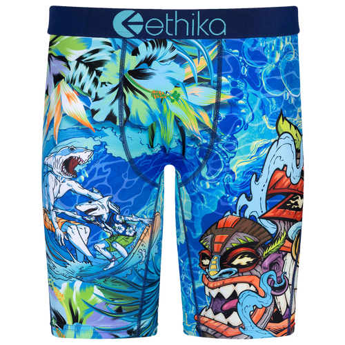 Ethika Boys   Graphic Briefs In Blue/green