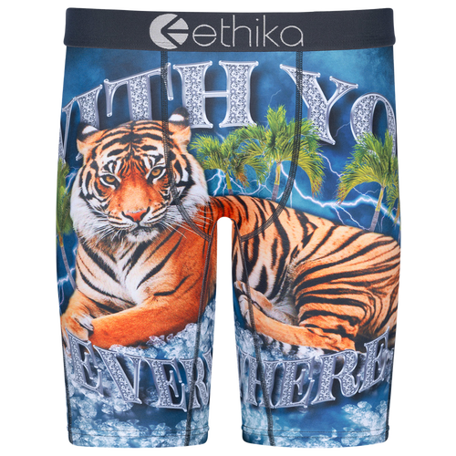 

Boys Ethika Ethika Graphic Briefs - Boys' Grade School Teal/Orange Size L