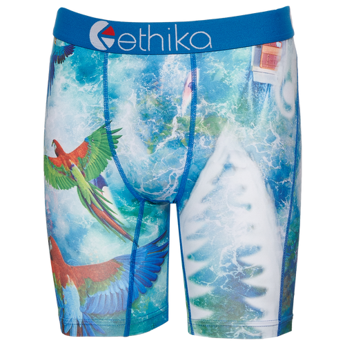 

Boys Ethika Ethika Graphic Briefs - Boys' Grade School Blue/White Size S