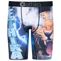 Boys' Grade School - Ethika Graphic Briefs - Gray/Blue