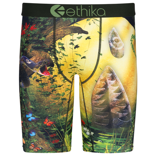 Ethika Boys   Graphic Briefs In Yellow/green