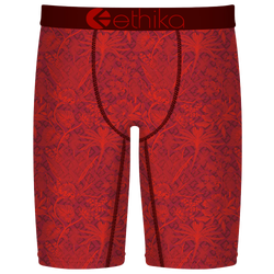 Boys' Grade School - Ethika Graphic Briefs - Red/Maroon