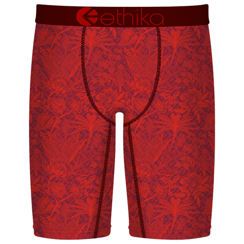 Ethika Boys   Graphic Briefs