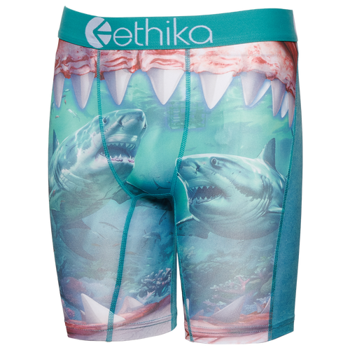 Ethika Boys   Graphic Briefs In Blue/green