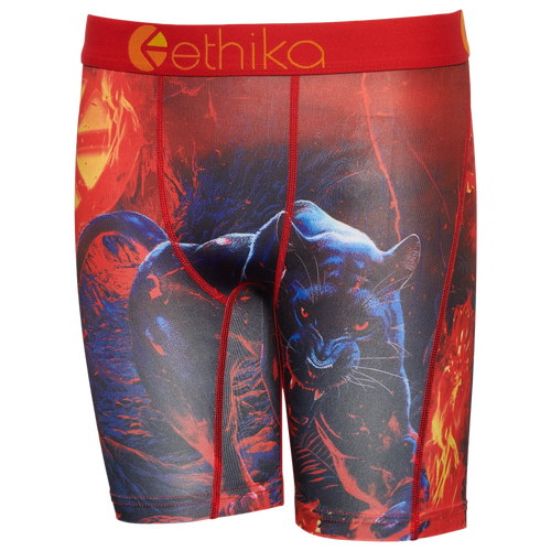 Ethika Boys   Graphic Briefs In Red