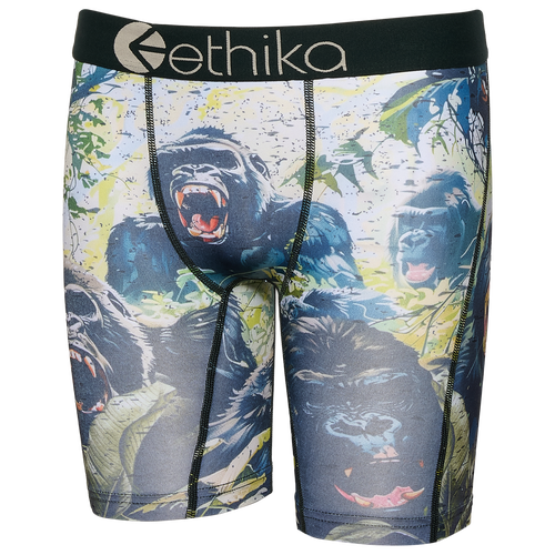 Ethika Boys   Graphic Briefs In Gray