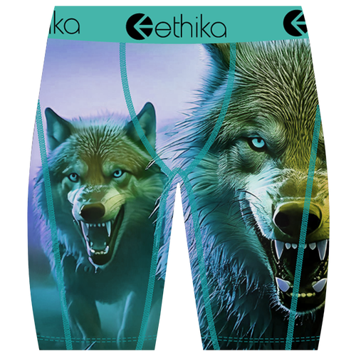 Ethika Boys   Sierra Underwear In Multi