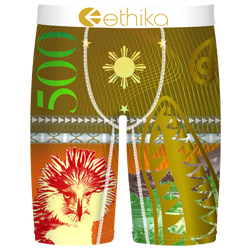 Boys' Grade School - Ethika BMR Piso Underwear - Brown/Multi